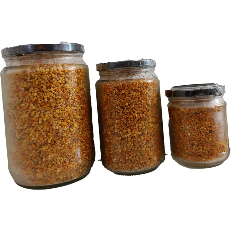 Γύρη Δάσους