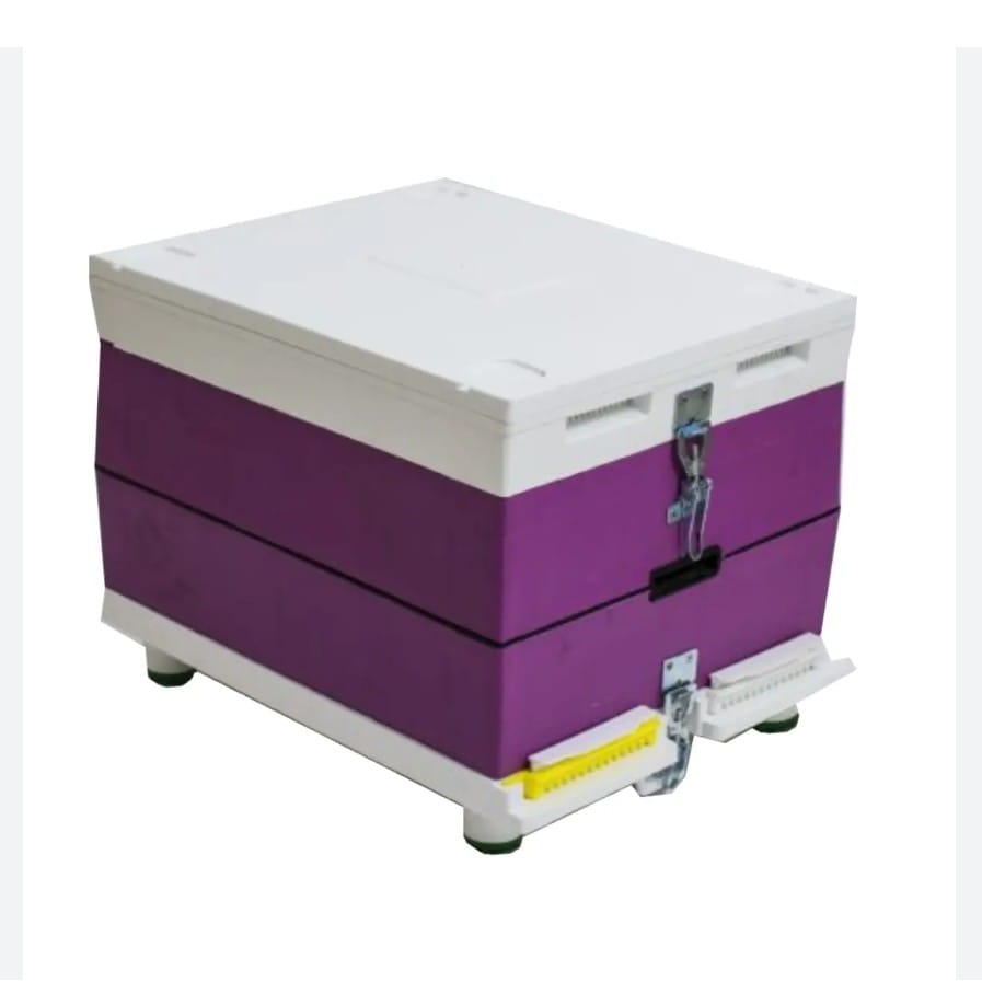 Λευκή και μοβ κυψέλη μελισσών